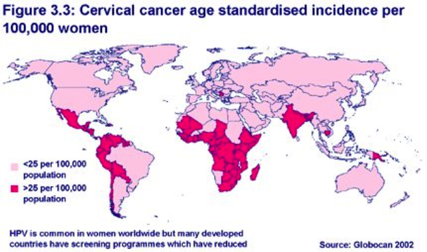 Significance Of The HPV Vaccine